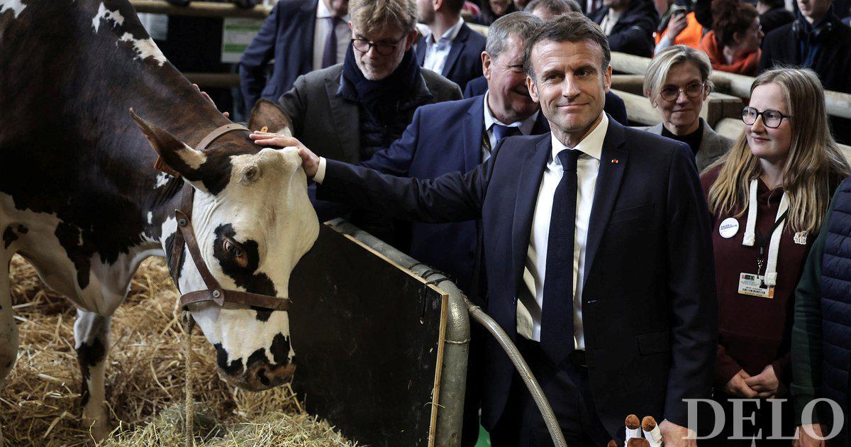 Les agriculteurs français prennent d’assaut la foire de Paris avant la visite de Macron