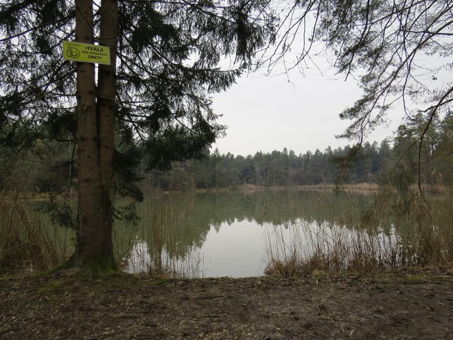 Ribnik Želodnik je ekosistemska naravna vrednota. FOTO: Bojan Rajšek/Delo