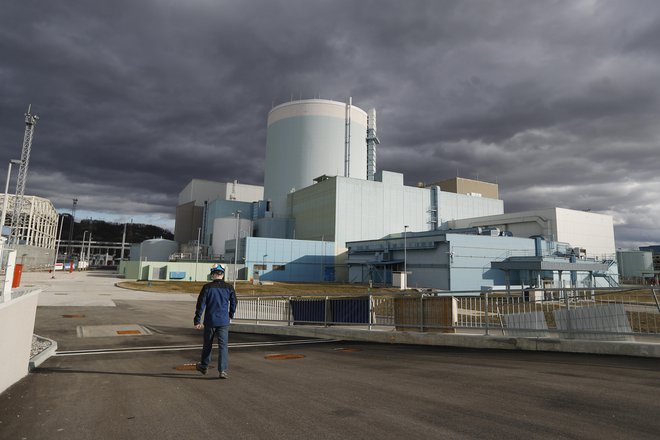 Jedrska elektrarna Krško. FOTO: Leon Vidic/Delo