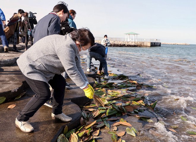 V Fukušimi so se s sporočili, napisanimi na liste, spomnili žrtev potresa in cunamija 11. marca 2011. FOTO: JIJI Press/AFP