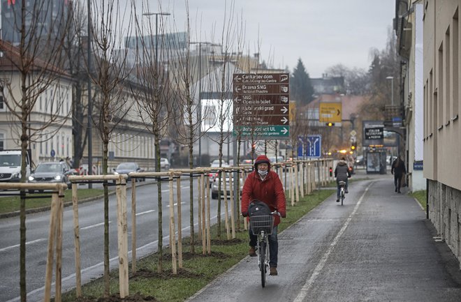 Ljubljana bo na poti do brezogljičnosti med drugim izboljšala infrastrukturo za kolesarje in pešce ter ozelenila mesto. FOTO: Blaž Samec