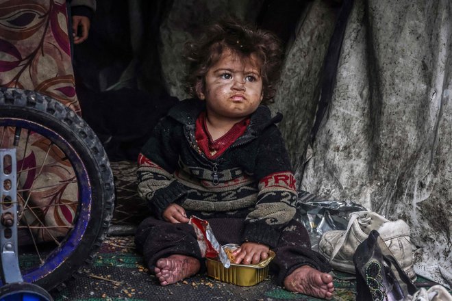 Palestinski otrok je hrano iz konzerve v provizoričnem šotoru v taborišču ob ulici v Rafi. Konflikt med Izraelom in Hamasom, ki divja že od 7. oktobra, je povzročil množične smrti civilistov, obsežna območja so se spremenila v opustošena območja in sprožil opozorila o grozeči lakoti na palestinskem ozemlju z 2,4 milijona prebivalcev. Foto: Mohammed Abed/Afp