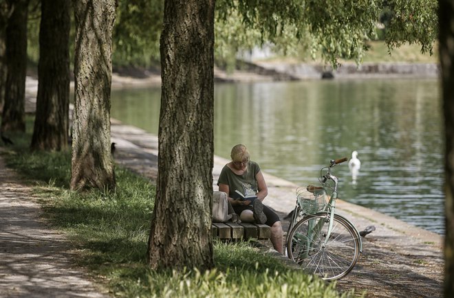 Leta 1999 je Unesco današnji dan razglasil za svetovni dan poezije z namenom promoviranja branja, pisanja, objavljanja in učenja poezije po svetu. FOTO: Blaž Samec