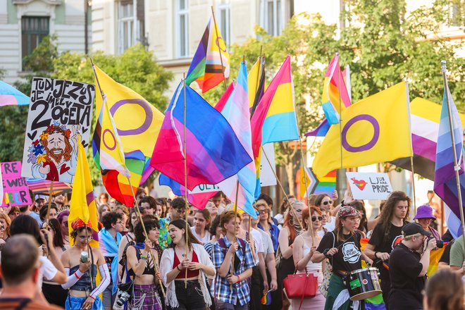 Med organizacijami, razočaranimi nad odločitvijo ministra za javno upravo o razveljavitvi razpisa, je tudi društvo Parada ponosa. FOTO: Črt Piksi