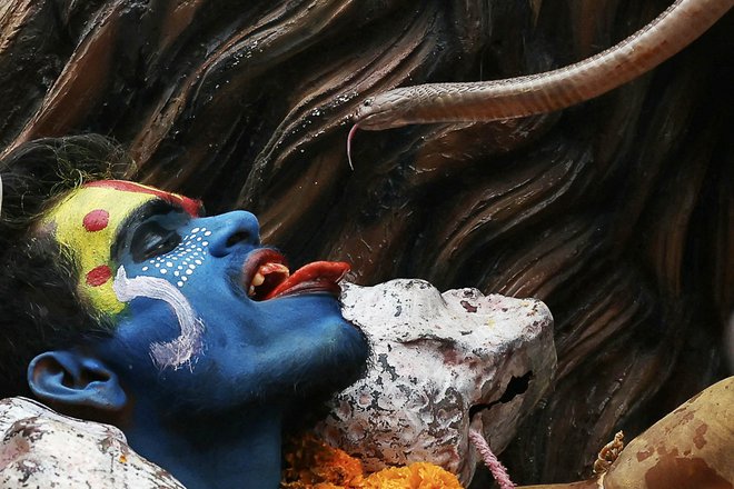 Hindujski vernik drži kačo ob obrazu med verskim sprevodom ob prazniku Masaan ali Bhasma Holi, ki se praznuje s pepelom pogrebnih žgal, v Varanasiju. Foto: Niharika Kulkarni/Afp