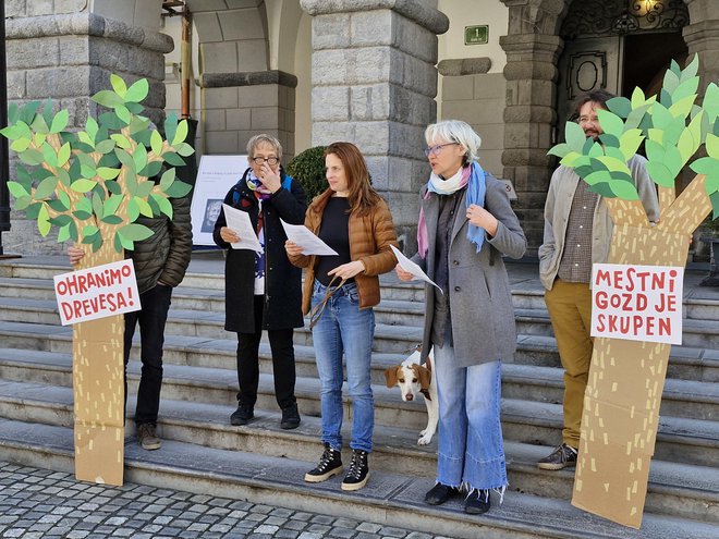 Nove okoliščine narekujejo drugačno, participativno upravljanje mestnih gozdov. FOTO: Borut Tavčar/Delo