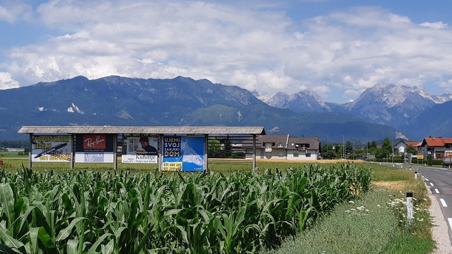 Kozolci so postali oglasni objekti. FOTO: Očistimo Slovenijo reklamnih panojev