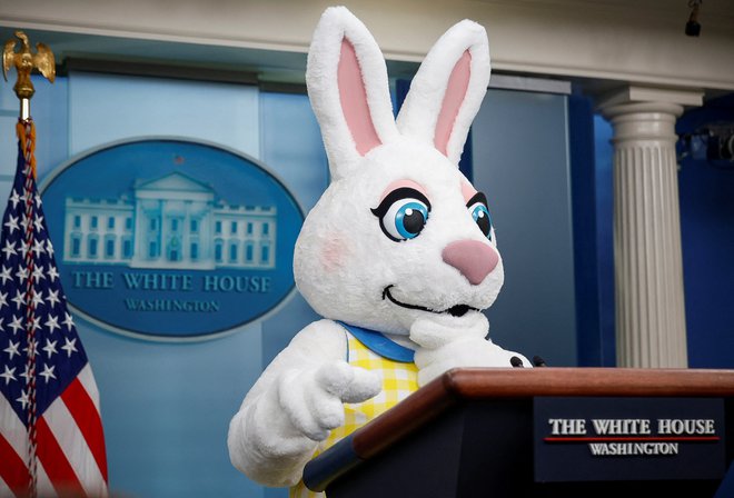 Velikonočni zajec je lani obiskal tudi novinarje, ki poročajo iz Bele hiše. Foto Evelyn Hockstein/Reuters