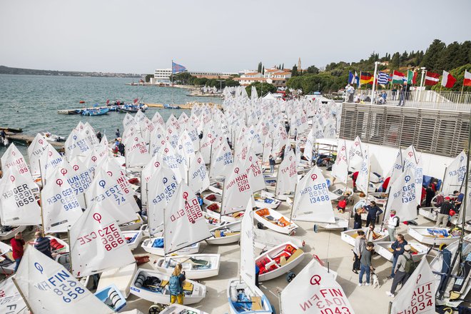 Takemu številu jadrnic iz razreda optimist in iz 20 držav na kupu lahko upravičeno rečemo tudi mini Barcolana v Piranskem zalivu. Foto Samo Vidic