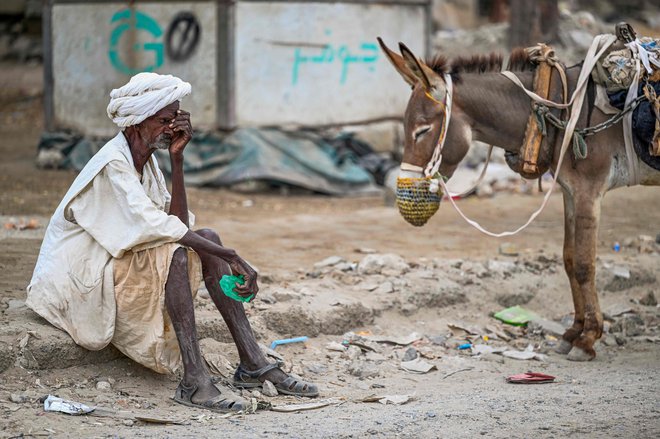 Starejši moški čaka, da bi napolnil rezervoar za vodo, ki ga vleče osel, med vodno krizo v Port Sudanu ob Rdečem morju v od vojne razdejanem Sudanu. V vojni med sudansko vojsko in paravojaškimi silami, ki poteka od aprila lani, je umrlo več deset tisoč ljudi, na milijone pa jih je moralo zapustiti svoje domove, kar je ena najhujših humanitarnih kriz na svetu. Foto: Afp