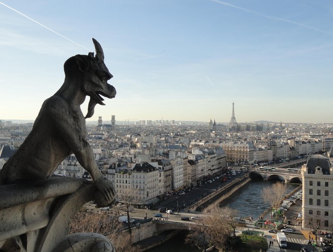 S prijateljico sva nekoč v enem dnevu obredli več razglednih točk v Parizu: Notre-Dame (na fotografiji), Slavolok zmage in Eifflov stolp. FOTO: Nina Gostiša