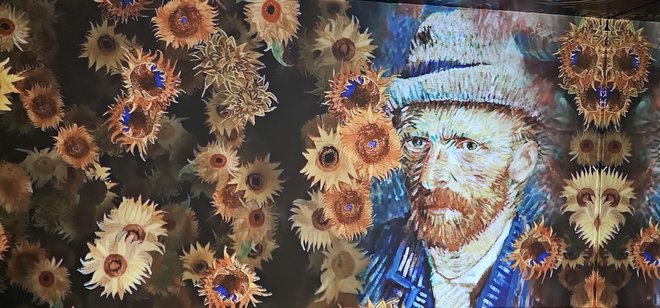 V muzeju Revoltella ocenjujejo, da si bo do konca razstave – predvidoma do 30. junija – van Gogha ogledalo več kot 130.000 obiskovalcev. FOTO: Boris Šuligoj/Delo