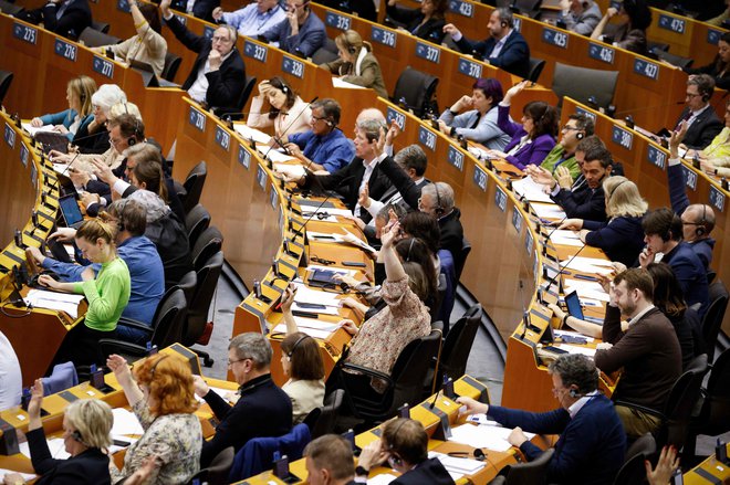 Skoraj tretjina vprašanih meni, da mora evropski parlament kot prednostno nalogo obravnavati podnebne spremembe. FOTO: Kenzo Tribouillard/AFP