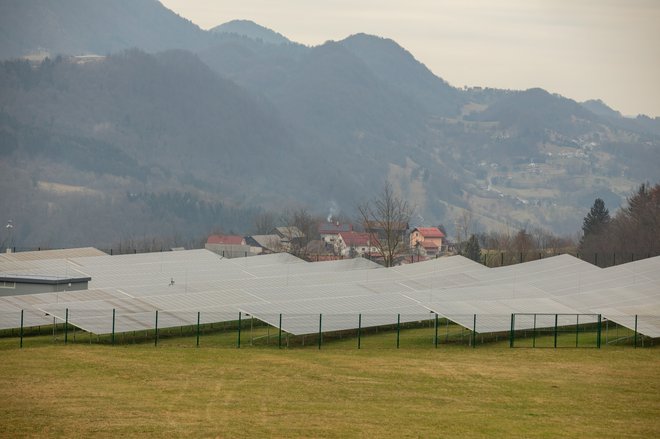 Za vključitev v distribucijski sistem je primernejša gradnja velikih sončnih elektrarn. FOTO: Voranc Vogel/Delo