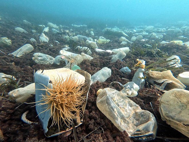 Polja odpadne plastike povsem blizu, v hrvaškem morju. FOTO: Klara Ljubenko