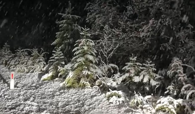 Sneženje med Sodražico in Loškim Potokom na približno 800 metrih nadmorske višine. FOTO: Zajem slike/Meteoinfo/FB