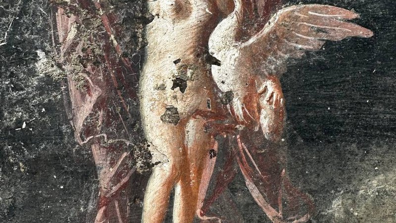 Fotografija: »Po sončnem zahodu so se ljudje srečevali na večerji; zaradi utripajoče svetlobe oljnih svetilk se je zdelo, da se podobe premikajo, zlasti po nekaj kozarcih dobrega vina iz Kampanje.« Freska mitološkega lika iz trojanske vojne. Foto Parco Archeologico Di Pompei/Via Reuters