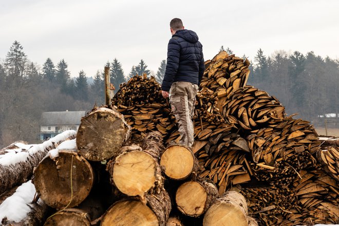 Drva ostajajo, tudi v občinah, ki so podprle prvo različico zakona. FOTO: Črt Piksi/Delo