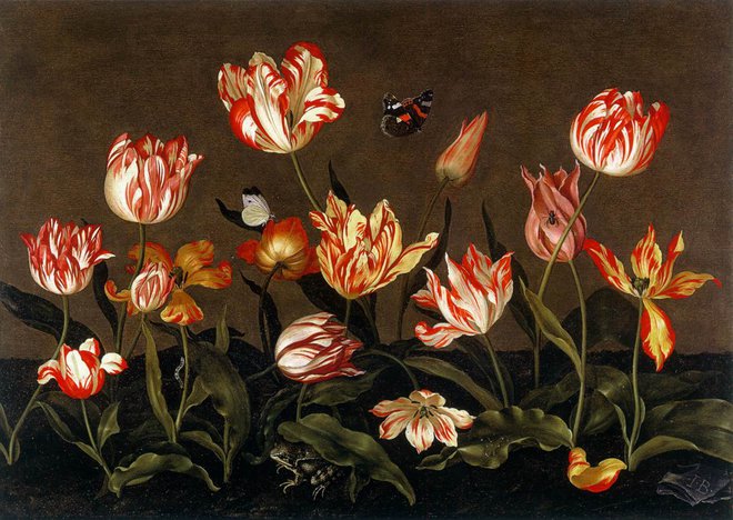 Kot piše Herbert, je v 16. stoletju Holandijo zajela tulipomanija. Foto Johannes Bosschaert: Tihožitje s tulipani, 1628.