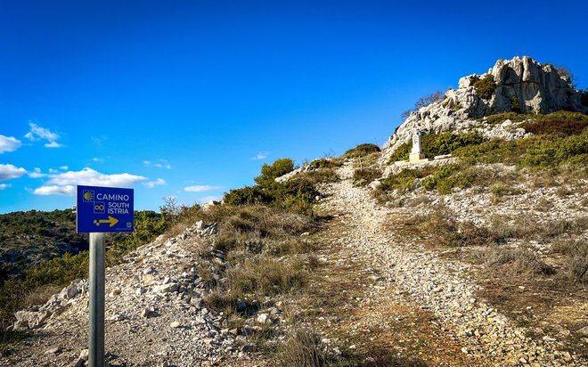 Camino po južni Istri je razdeljen na sedem etap. FOTO: Pulse Events