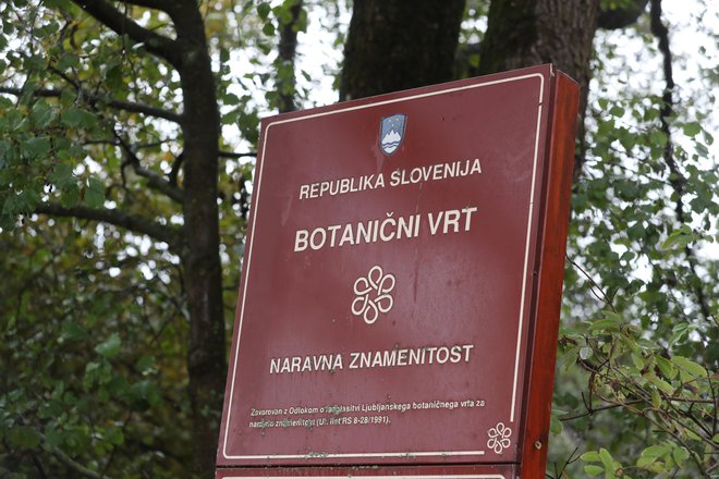 Gre za kulturni spomenik državnega pomena, najstarejši botanični vrt v jugovzhodni Evropi, dve stoletji neprekinjeno delujočo institucijo, ki je med prvimi na svetu prejela akreditacijo Svetovne organizacije botaničnih vrtov. FOTO: Dejan Javornik