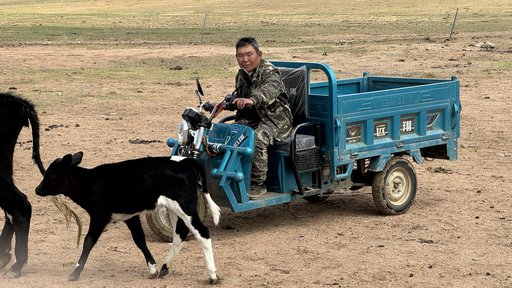 Notranja Mongolija je velika približno 1,2 milijona kvadratnih kilometrov in predstavlja 12 odstotkov Kitajske. FOTO: Aljaž Vrabec