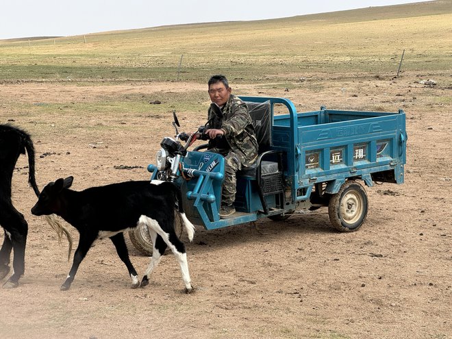 Notranja Mongolija je velika približno 1,2 milijona kvadratnih kilometrov in predstavlja 12 odstotkov Kitajske. FOTO: Aljaž Vrabec