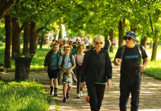 Ob žici letos pričakujejo okrog 30.000 udeležencev FOTO: Matej Družnik/Delo