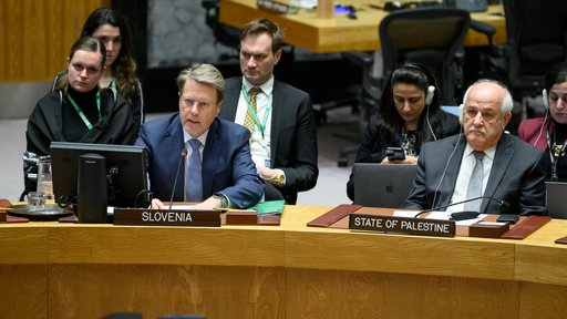 Predstavnik Slovenije v varnostnem svetu Samuel Žbogar februarja letos. Ob njem sedi Rijad Mansur, stalni opazovalec Palestine pri Združenih narodih. Foto Loey Felipe/UN Photo