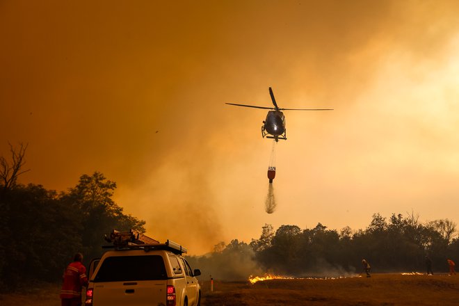 Požar na Krasu. FOTO: Črt Piksi