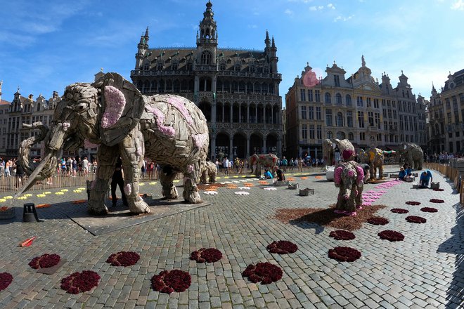 Ob Parizu bo tudi Bruselj v znamenju stoletnice nadrealizma. FOTO: AP