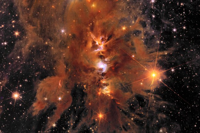 Messier 78 

Meglica Messier 78 je zvezdna porodnišnica. Infrardeča kamera teleskopa lahko prodre skozi prah, ki zastira pogled kameram v vidnem spektru svetlobe. Instrumenti Euclida lahko zaznajo objekte, le nekajkrat masivnejše od Jupitra, na tem posnetku je razkril okoli 300.000 novih nebesnih teles. FOTO: Esa/Euclid/Nasa 