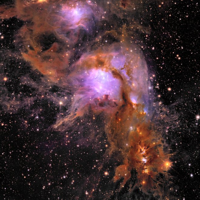 Meglica Messier 78 je zvezdna porodnišnica. FOTO: Esa/Euclid/Nasa 

 