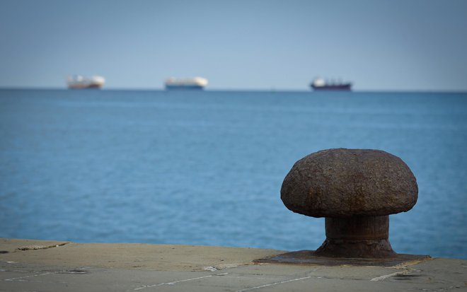 Pred Luko Koper je zmeraj veliko ladij, čeprav plujejo počasneje zadnje mesece. Foto Jože Suhadolnik