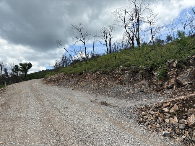 Gozdna cesta Volkovnjak izpolnjuje vse zahteve za protipožarno varstvo. FOTO: Slovenski Državni Gozdovi