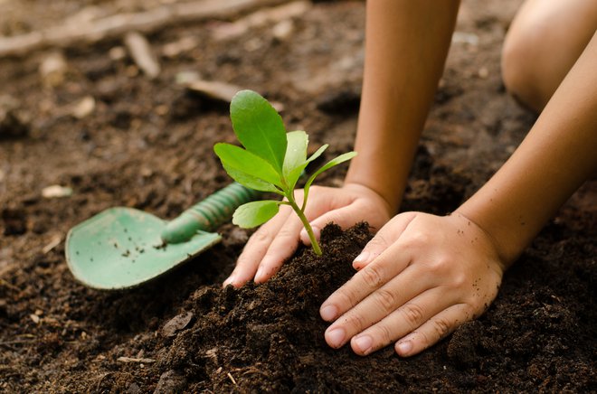 Kdo drug, če ne sami, bo poskrbel za našo rast, našo srečo. FOTO: Shutterstock