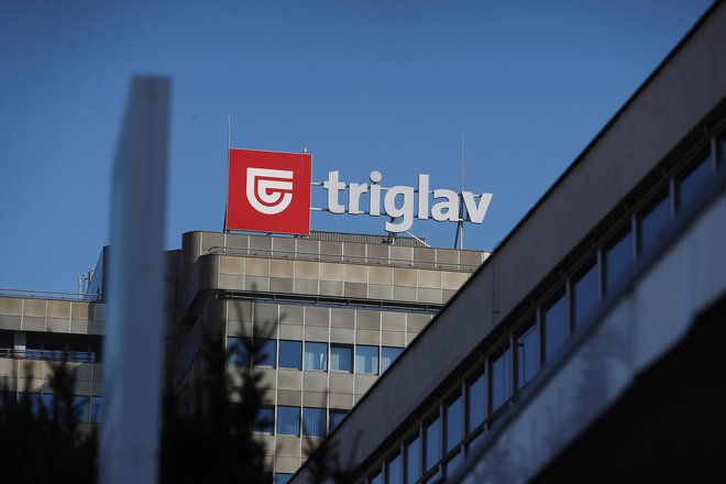 Delničarji Triglava bodo v drugi polovici junija prejeli 1,75 evra bruto dividende na delnico. FOTO: Leon Vidic/Delo