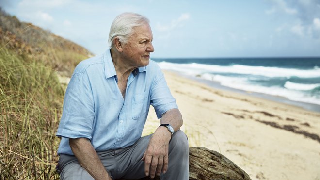 David Attenborough vse moči namenja prebujanju človeka. FOTO: promocijsko gradivo