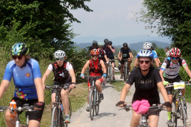 Barjanka na letošnjem 43. Maratonu Franja. FOTO: Blaž Samec/Delo