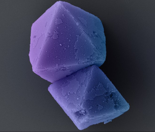 Kristali, narejeni iz DNK origamijev (kristali so umetno obarvani). FOTO: Liedl Lab

 