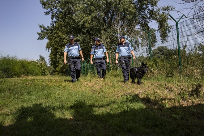 Hrvaška že dolgo odklanja kakršnokoli sodelovanje pri nadzoru na njihovi zunanji meji. Na svoji strani ne želijo Evropske agencije za mejno in obalno stražo Frontex, ne želijo mešanih policijskih patrulj in ne drugih vrst policijske pomoči. FOTO: Voranc Vogel/Delo