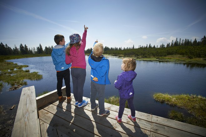 V okolici Ribniškega jezera je dovolj poti za lep družinski izlet. FOTO: Tomo Jeseničnik
