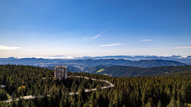 Poglejte na svet s ptičje perspektive na Poti med krošnjami na Pohorju. FOTO: Domen Hohler