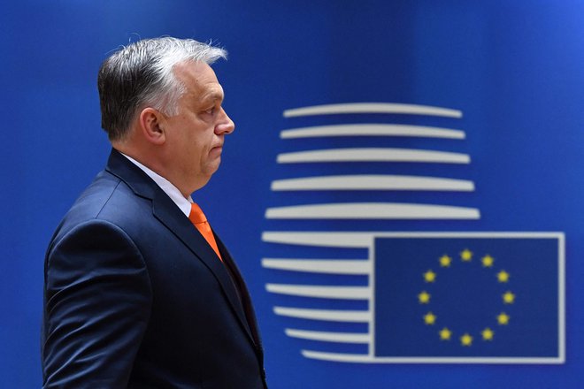 Madžarska pod vodstvom premiera Viktorja Orbána bo do konca leta predsedovala eni ključnih institucij Evropske unije. FOTO: John Thys/AFP

 