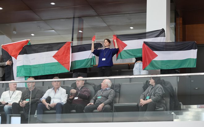 Protest za Palestino v državnem zboru FOTO: Jože Suhadolnik/Delo