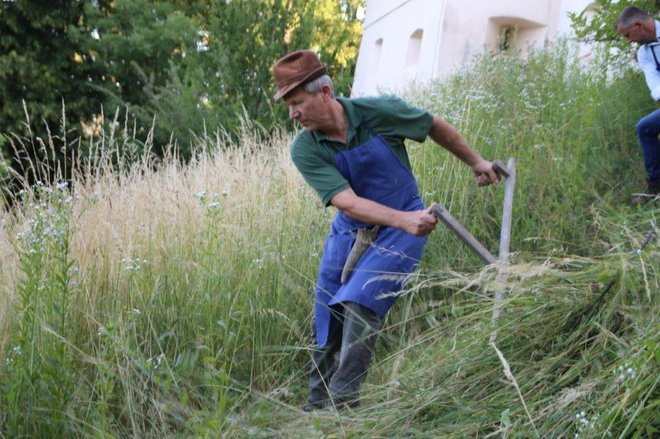 Uredba EU je na travnikih zahtevala pozno košnjo, kar naj bi pripeljalo do večje biotske pestrosti. Ker pa so naši travniki različni, bi ta ukrep uspel le na ekoloških in »senenih« travnikih, na večini pa ne. FOTO: Oste Bakal