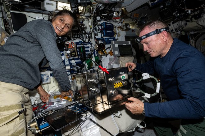 Suni Williams in Butch Wilmore na postaji poleg testiranja starlinerja opravljata tudi različne znanstvene poskuse. FOTO: Nasa