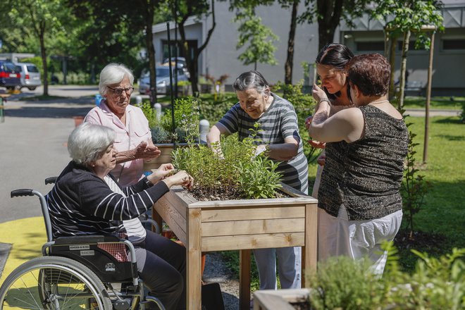 Sodeč po raziskavah senzorični vrt vpliva na izboljšanje kakovosti življenja stanovalcev v domovih za starejše. FOTO: Leon Vidic/Delo