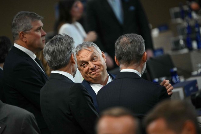 Madžarski premier Viktor Orbán je nedavni vrh Natovih voditeljev v Washingtonu izkoristil še za postanek na Floridi, kjer ga je sprejel zaveznik Donald Trump. FOTO: Drew Angerer/AFP