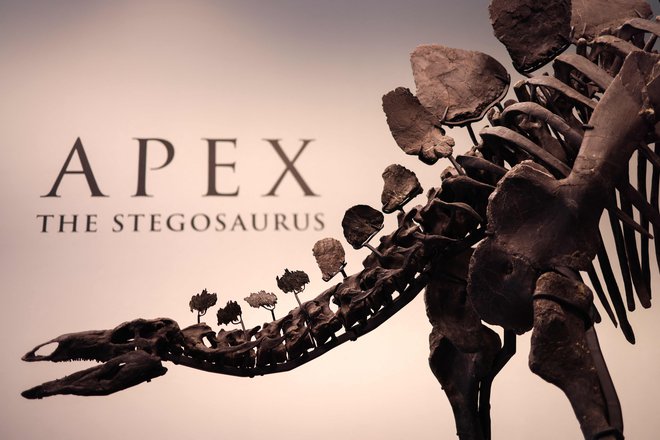 Gre za eno najbolje ohranjenih okostij stegozavrov. FOTO: Charly Triballeau/AFP